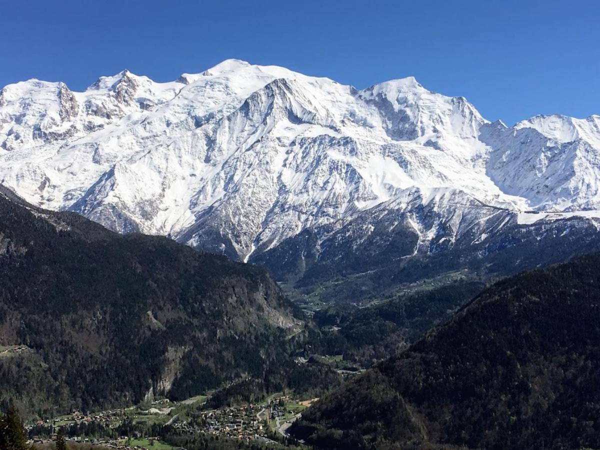 Fizhome Mt Blanc 帕西 外观 照片