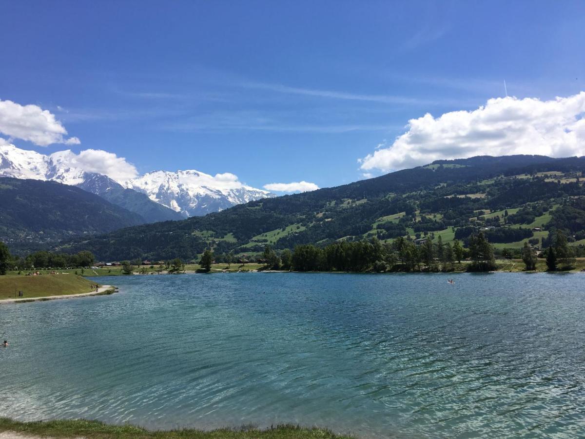 Fizhome Mt Blanc 帕西 外观 照片